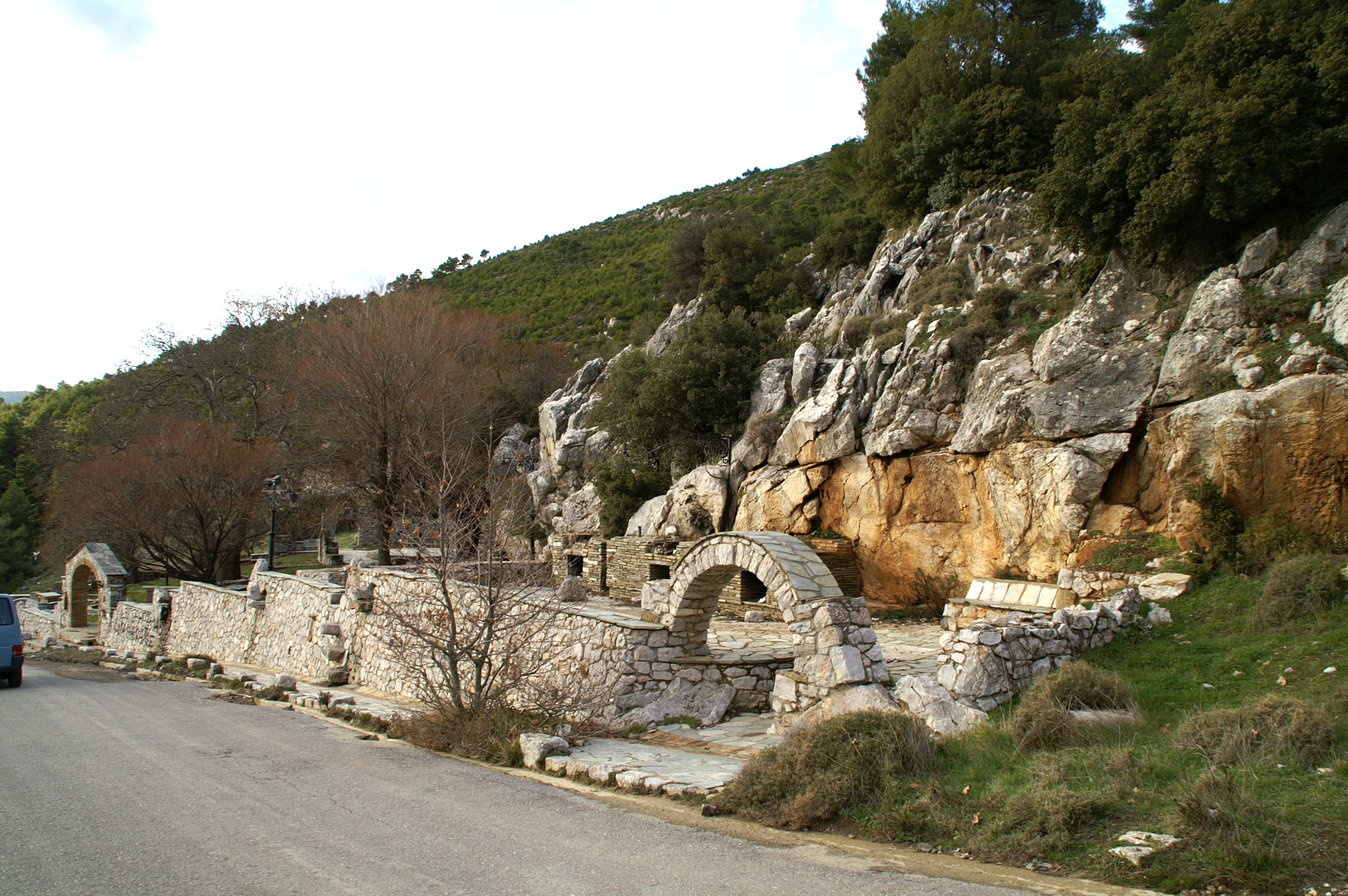 Φυλή
