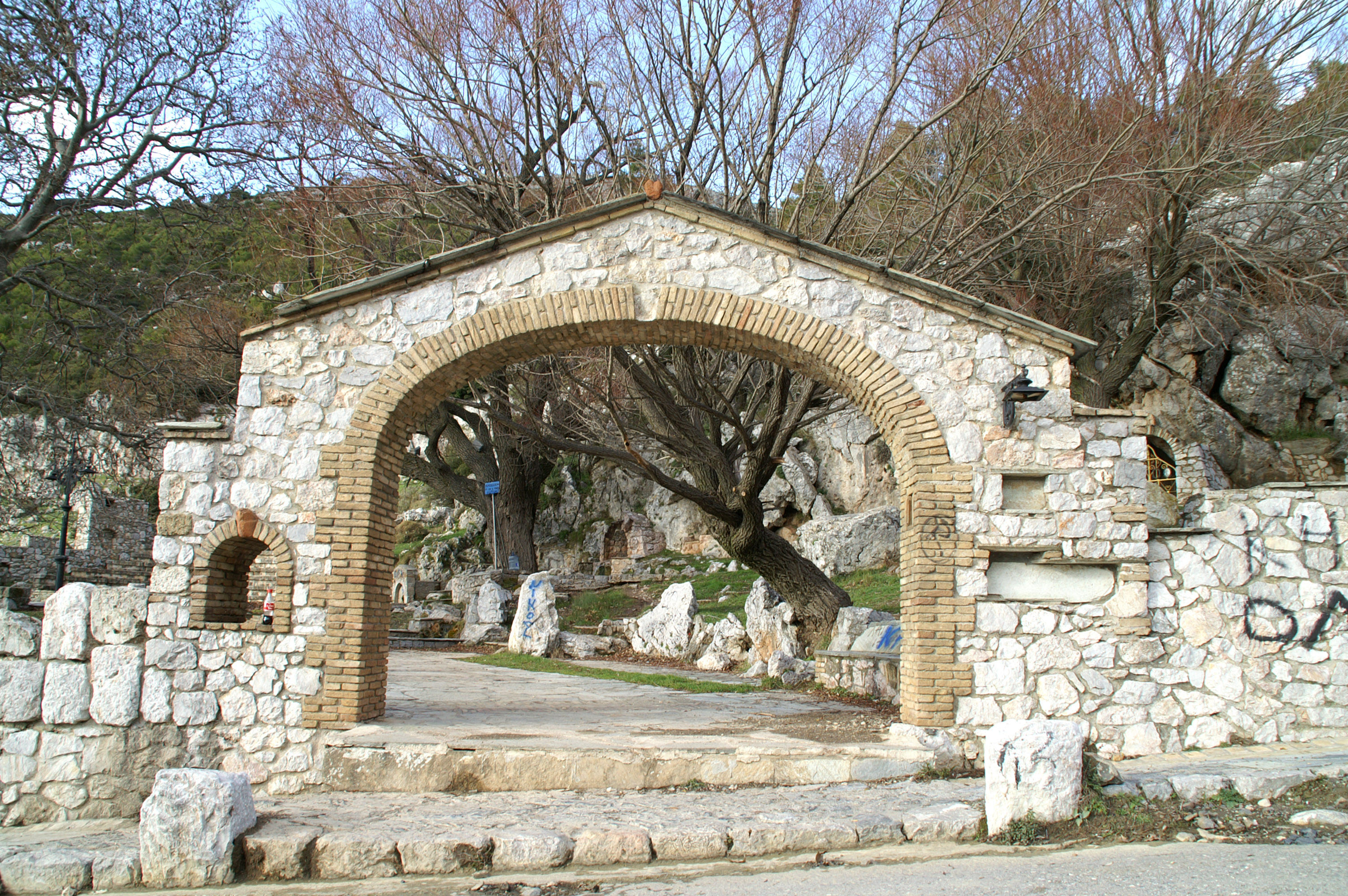 Φυλή